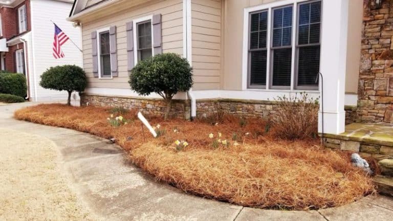 Affordable Front Yard Landscaping Projects To Improve Your Curb Appeal