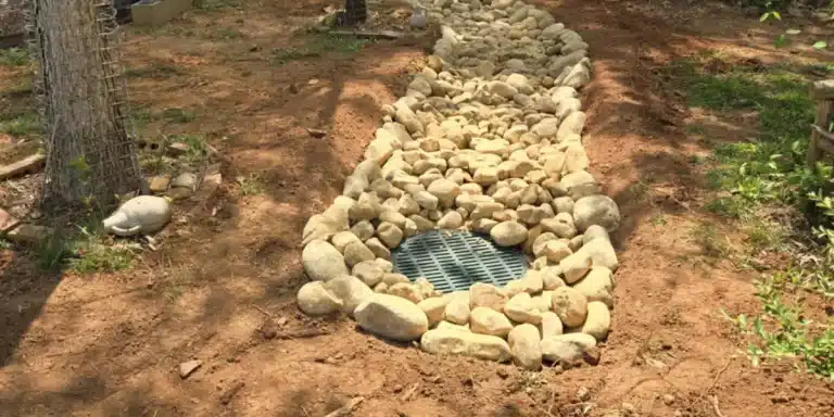 How to Stop a Neighbor’s Yard From Flooding Yours in Georgia