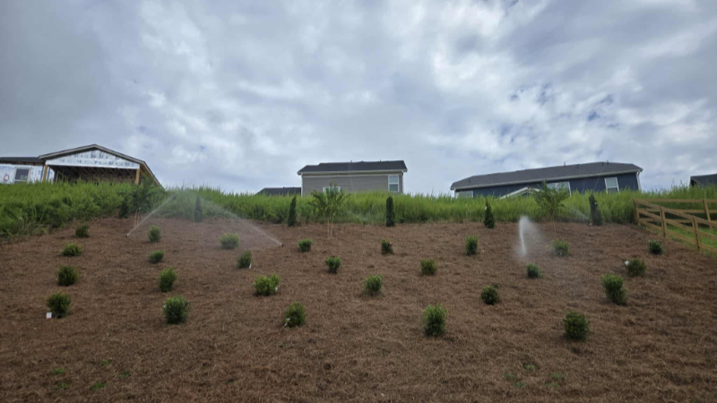 Braselton hillside erosion control thumbnail