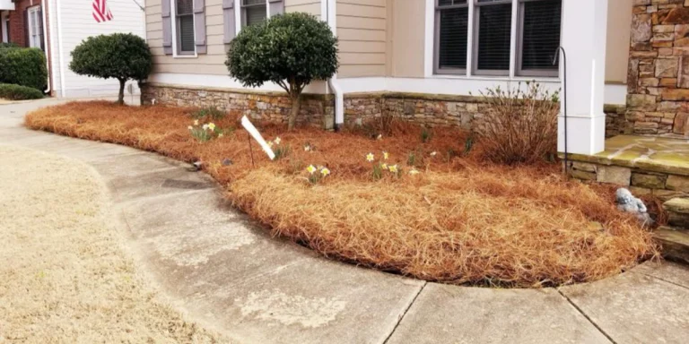 Hoschton Front Yard Mulch vs Stone