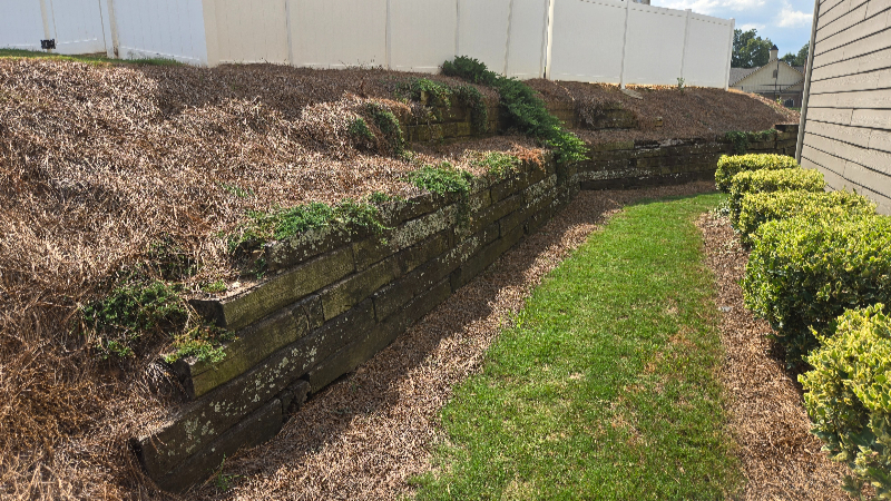 Hamilton tiered retaining wall before2