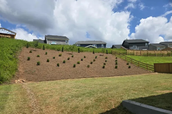 Sloped Yard Stabilization