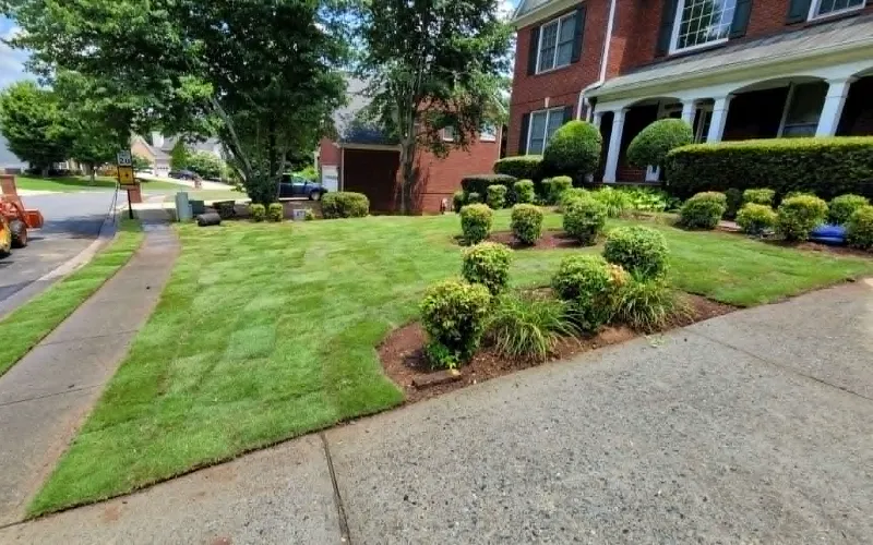 Sod Installation